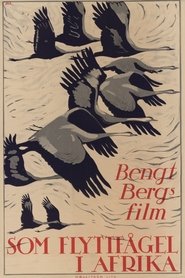 Film Som flyttfågel i Afrika streaming VF complet