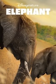 Film Elephant streaming VF complet