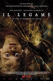 Film Il legame streaming VF complet