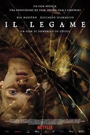 Film Il legame streaming VF complet