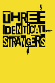 Poster for Three Identical Strangers (2018)