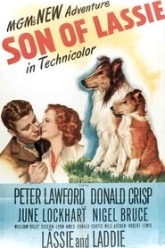 Film Le Fils de Lassie streaming VF complet