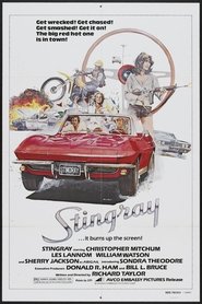 Film Stingray streaming VF complet