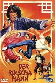 Les 12 secrets du Kung-Fu streaming sur filmcomplet