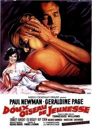 Film Doux Oiseaux de jeunesse streaming VF complet