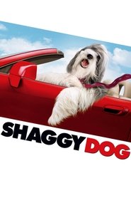 Film Raymond streaming VF complet