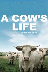 Film Bovines streaming VF complet