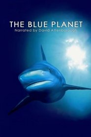 Film La Planète bleue streaming VF complet