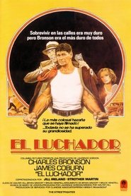 Imagen de El luchador