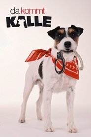 Poster of Here Comes Kalle