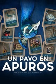 Imagen de Un pavo en apuros