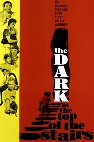 Film The Dark at the Top of the Stairs streaming VF complet