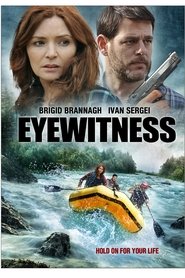 Film Descente en eaux troubles streaming VF complet