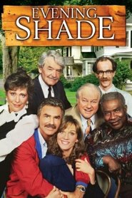 Poster of Evening Shade