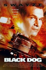 Film Black Dog streaming VF complet