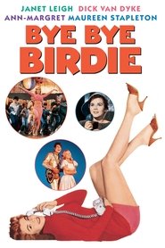 Film Bye Bye Birdie streaming VF complet