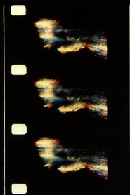 Film The Text of Light streaming VF complet