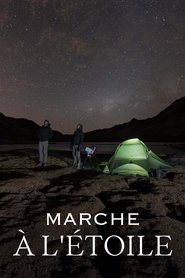 Imagen de Marche à l'étoile : La Diagonale sud-américaine