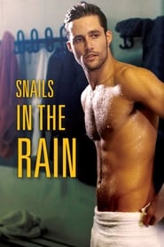 Snails in the Rain streaming sur filmcomplet