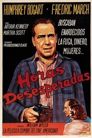 Imagen de Horas desesperadas