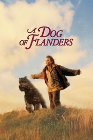 Nello et le chien des Flandres streaming sur filmcomplet