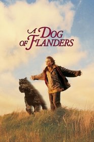 Nello et le chien des Flandres