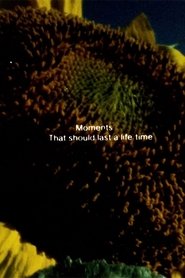 Film Illuminated Texts streaming VF complet