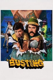 Film le casseurs de gang streaming VF complet