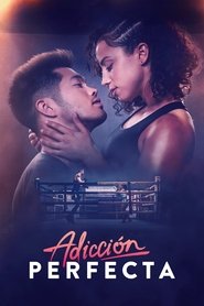 Imagen de Adicción perfecta