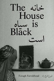 Imagen de La casa es negra