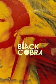 Imagen de Black Cobra
