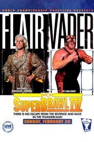 Imagen de WCW SuperBrawl IV