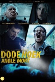 Imagen de The Blind Spot