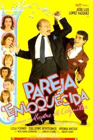 Film Pareja enloquecida busca madre de alquiler streaming VF complet