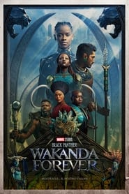 Black Panther - Wakanda Forever