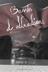 Bassin d'attraction Bassin d'attraction en streaming sur streamcomplet