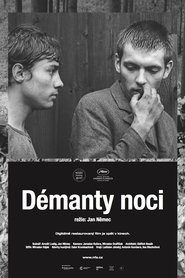 Film Diamonds of the Night streaming VF complet