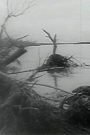 Suyun Kontrolü streaming sur filmcomplet