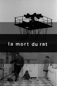 Imagen de Death of the Rat