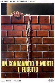 Un condannato a morte è fuggito