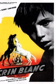 Film Crin blanc: Le cheval sauvage streaming VF complet