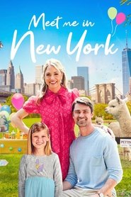 Imagen de Meet Me in New York