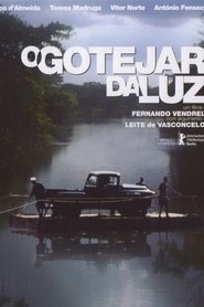 Imagen de Gotas de luz
