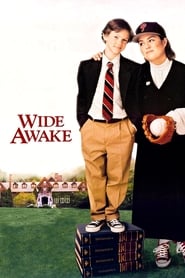 Film Wide Awake streaming VF complet