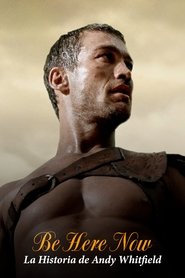 Imagen de La historia de Andy Whitfield