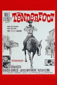 The Tenderfoot streaming sur filmcomplet