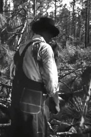 Film Men Of The Forest streaming VF complet