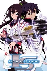 Poster of Infinite Stratos