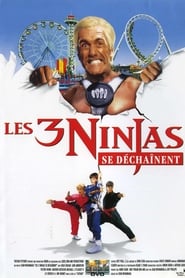 Film Les 3 Ninjas se déchainent streaming VF complet