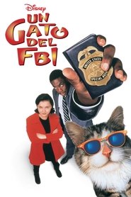 Imagen de Un gato del FBI